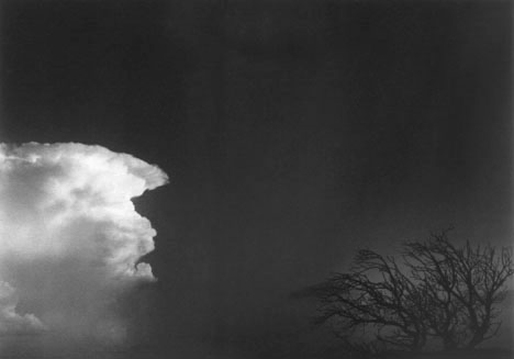 cloud_tree cloud_tree