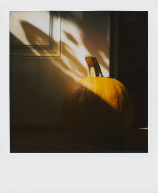 Polaroid_052s