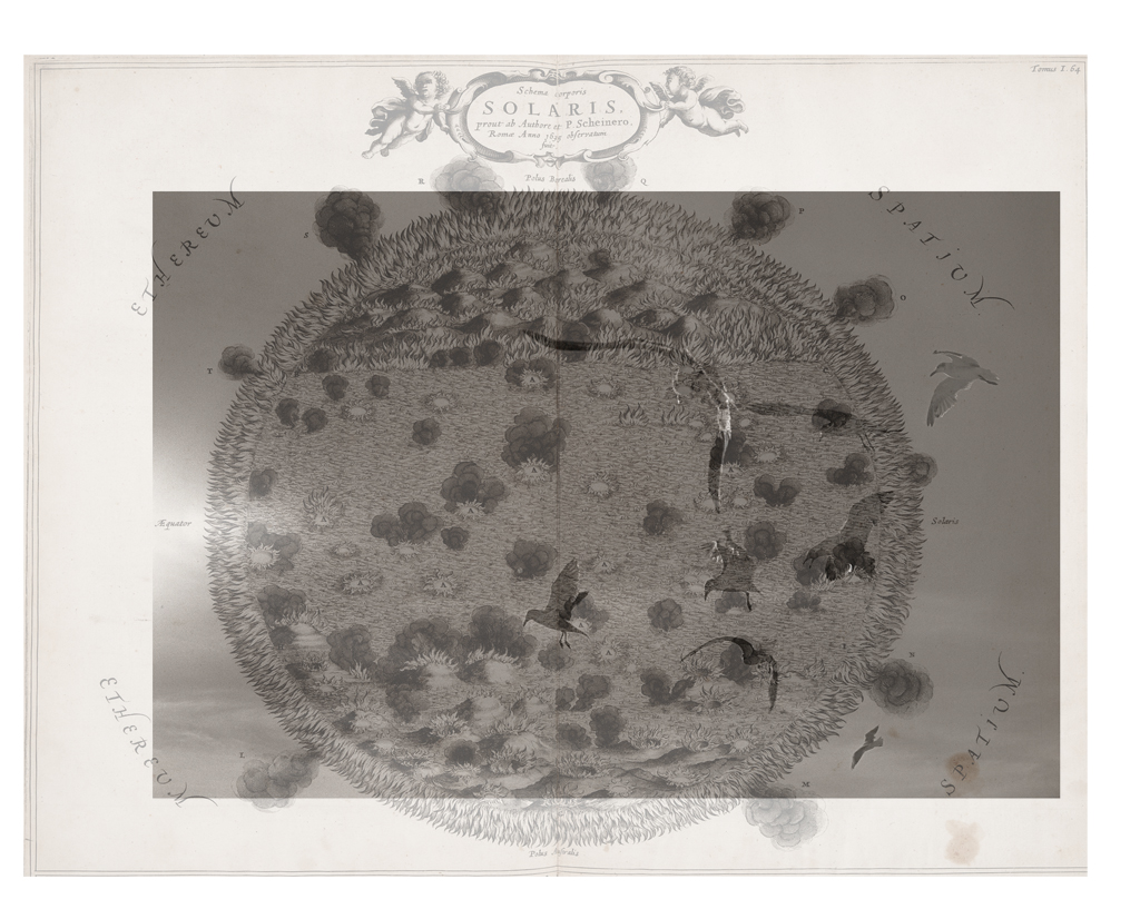 © 2012 Dave Ortiz, from the series, Up.