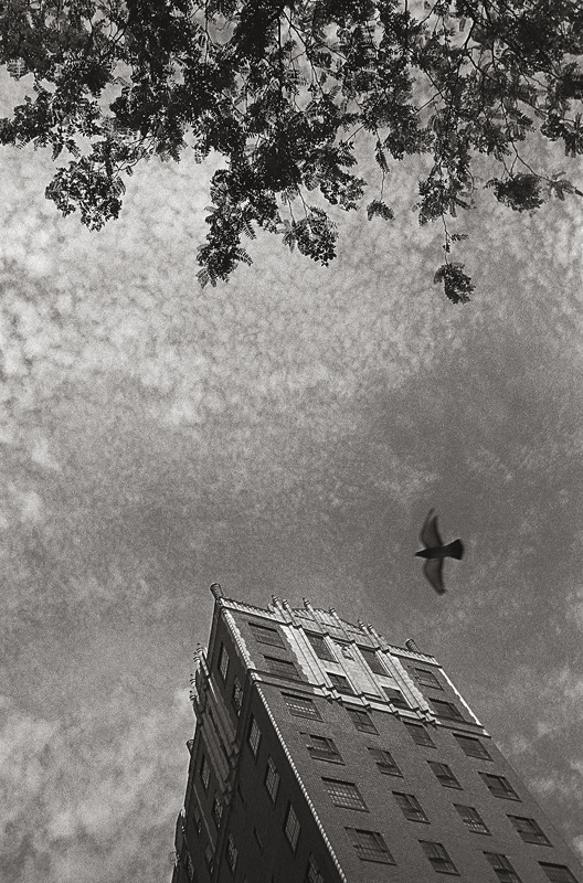 © 2013 Dave Ortiz. From the series, Up.