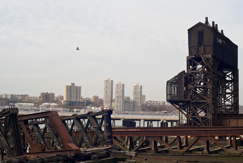 ©2013 from the series, Personal Ecologies