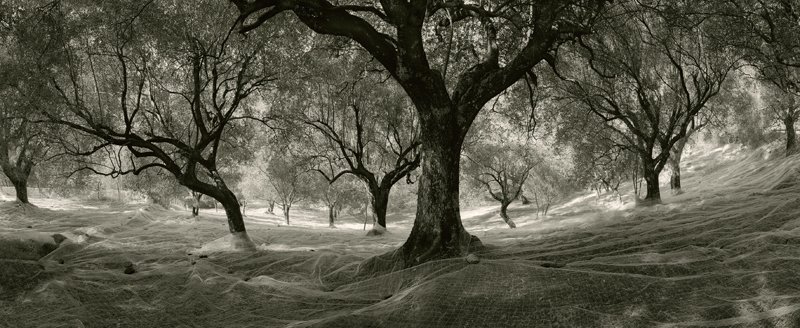 © Penti Sammallahti