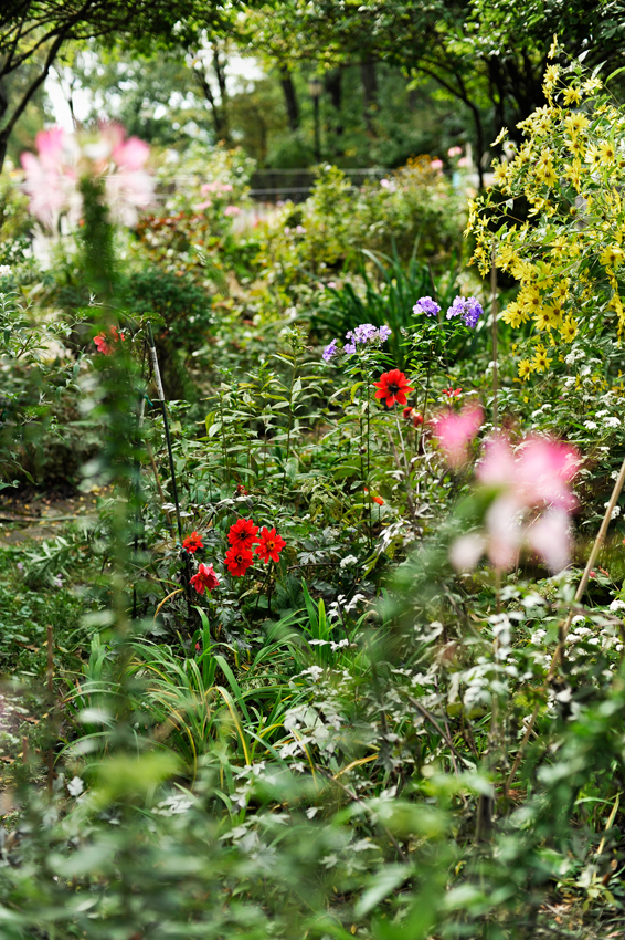 From the series, A Private Compass, ©2013 Dave Ortiz