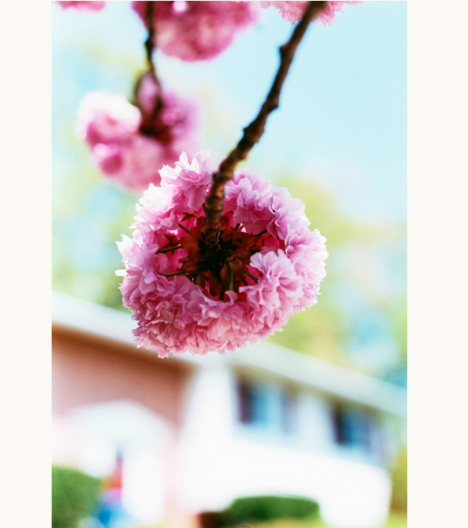 From Terri Weifenbach's website.