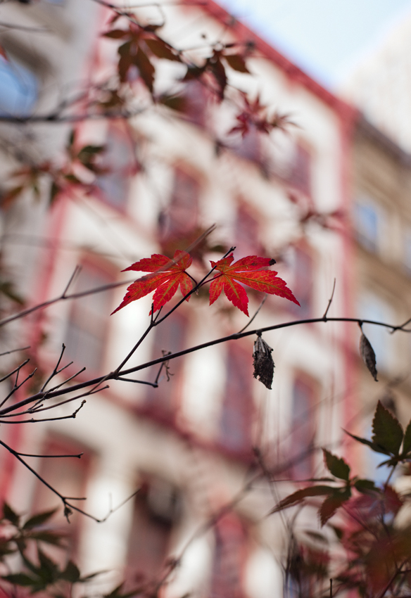 From the series, A Private Compass, ©2013 Dave Ortiz