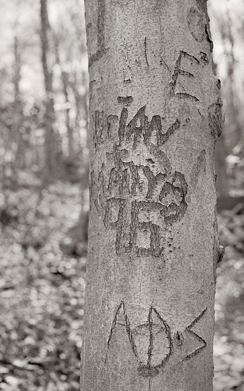 ADS, from the series, Markings, ©2014 Dave Ortiz 