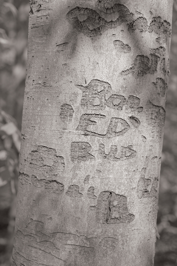 Boo, from the series, Markings. ©2014 Dave Ortiz