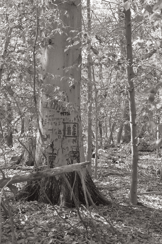 I Love, from the series, Markings. ©2014 Dave Ortiz