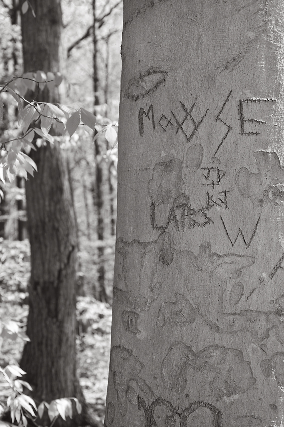 Mouse, from the series, Markings. ©2014 Dave Ortiz