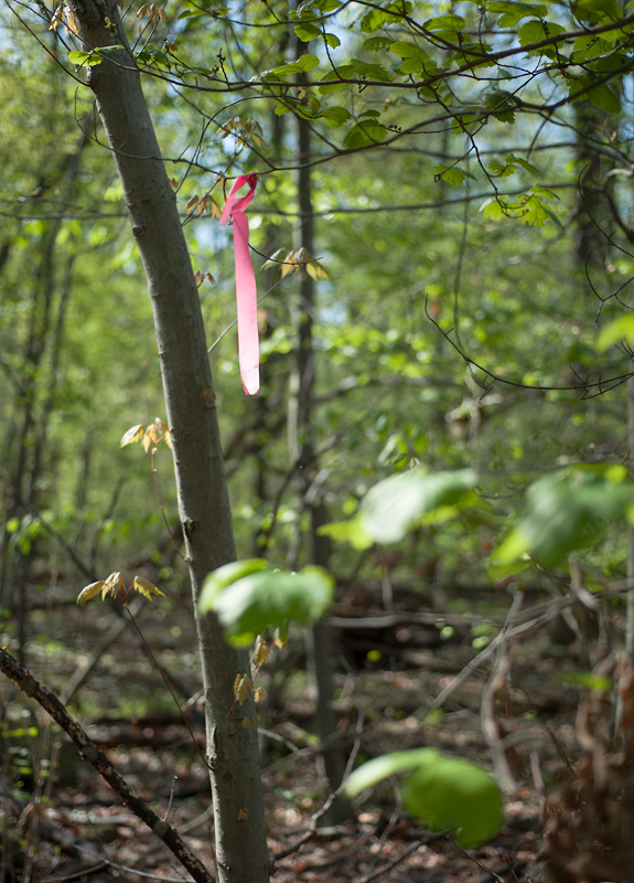 from the series, Markings, ©2014 Dave Ortiz