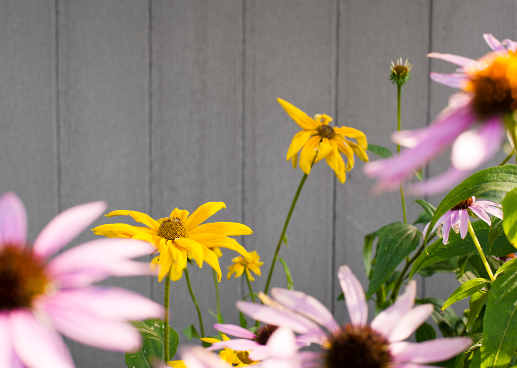 Midlife, from the series, A Private Compass. ©2014 Dave Ortiz