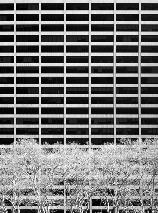 © 2015 Dave Ortiz, from the series, A Walk In The Park.