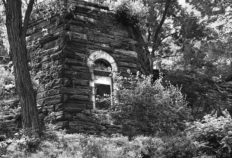 ©2015 by Dave Ortiz