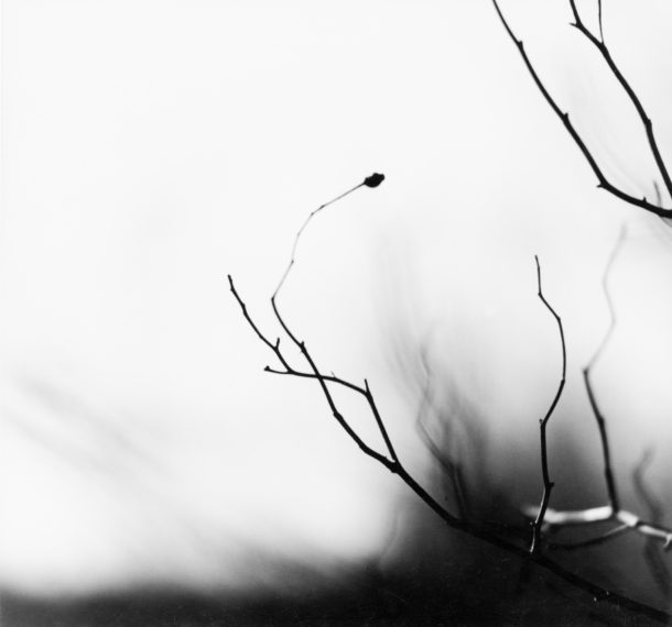 img0080_REM.1014-610x570