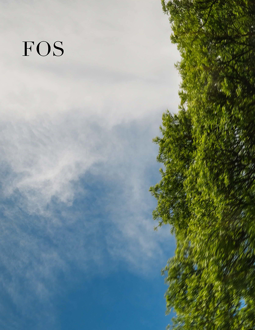 Cover_FOS6